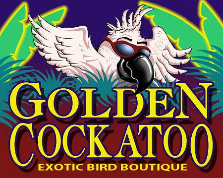 Golden Cockatoo